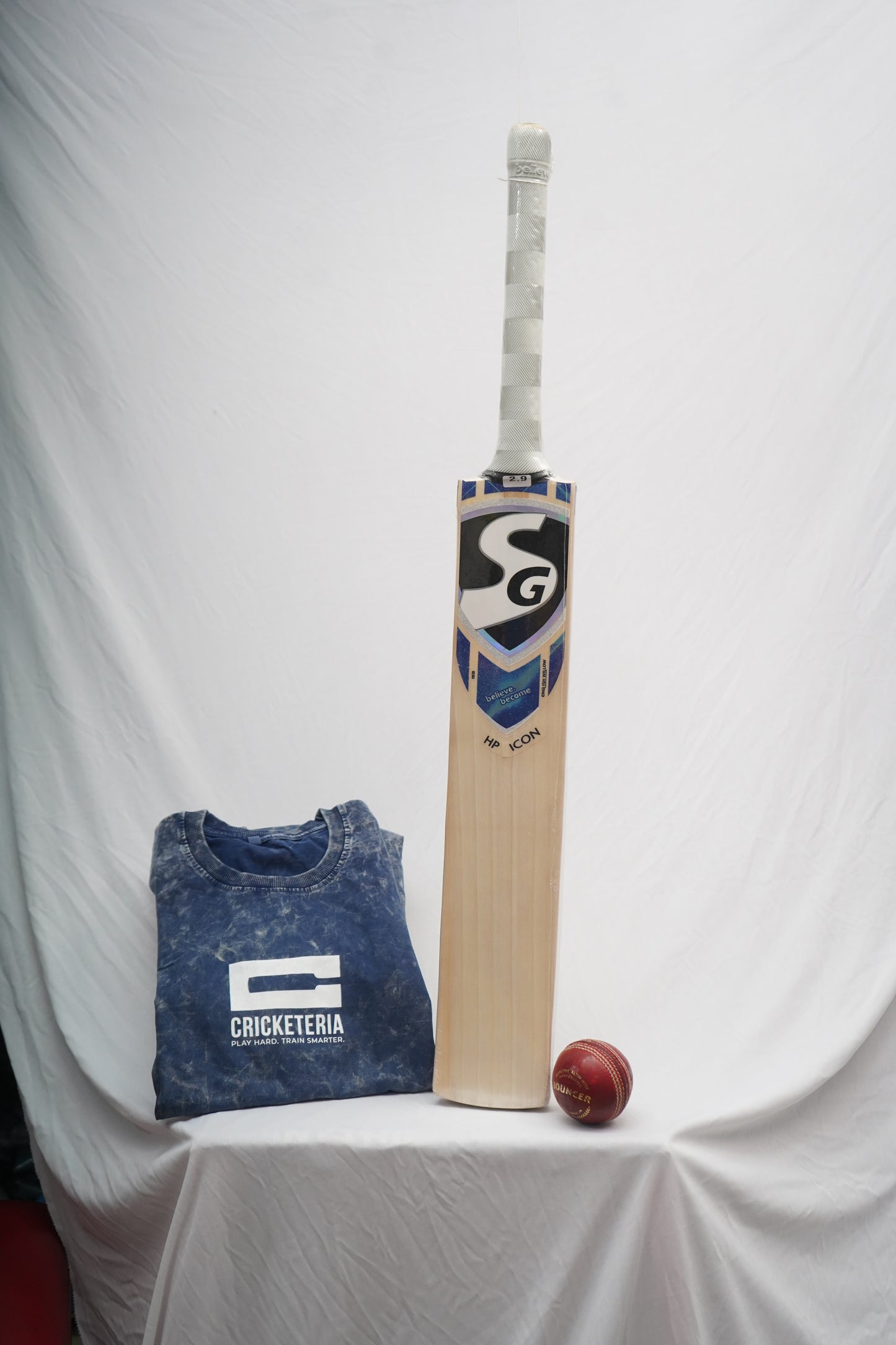 SG English Willow Cricket Bat HP Icon