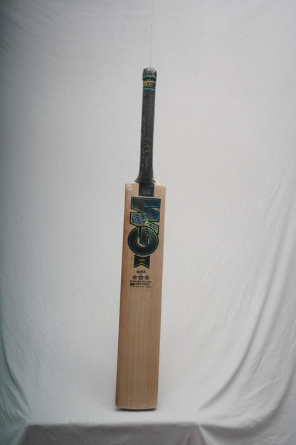GM Aion 505 English Willow Cricket Bat