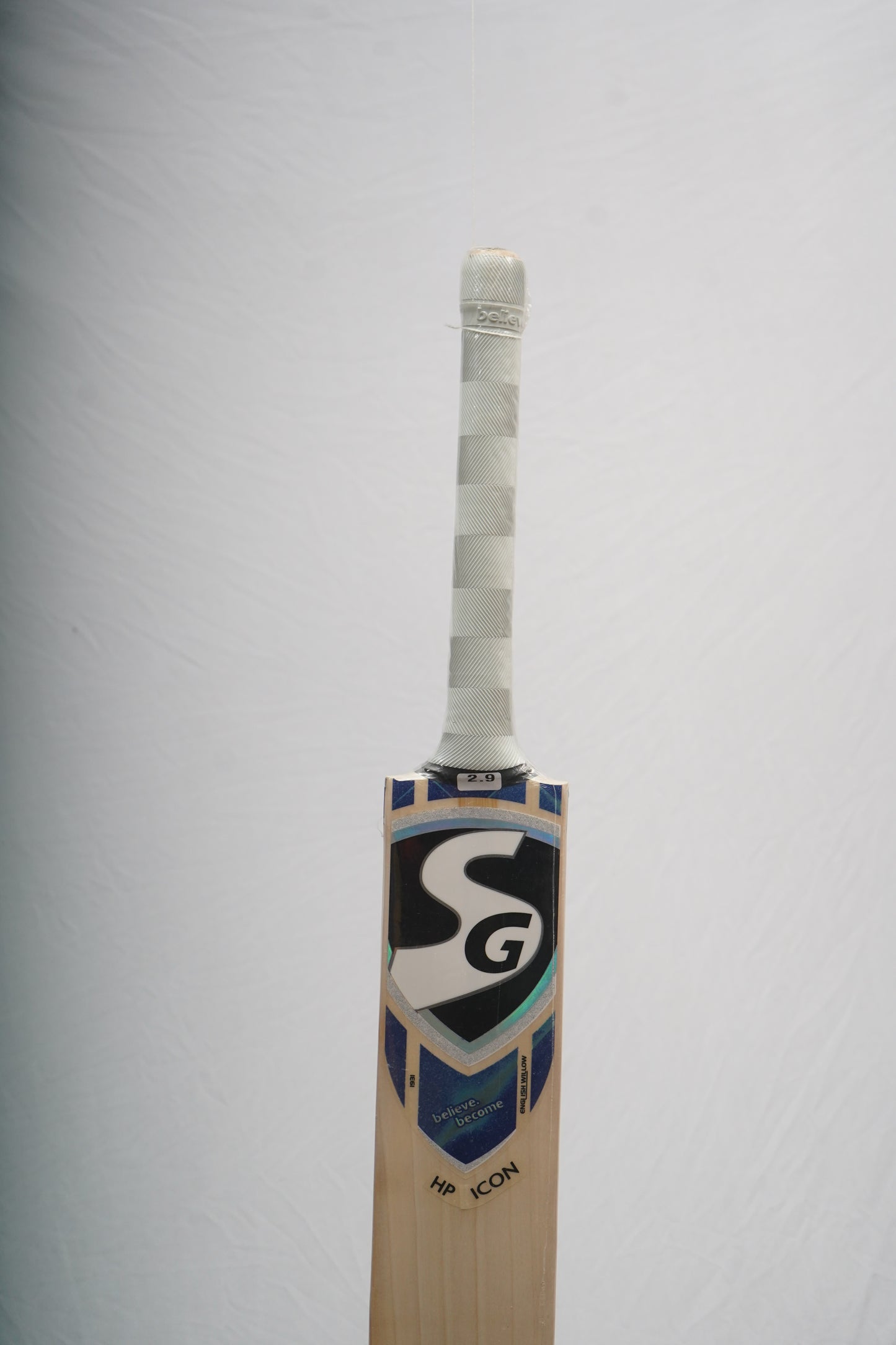 SG English Willow Cricket Bat HP Icon