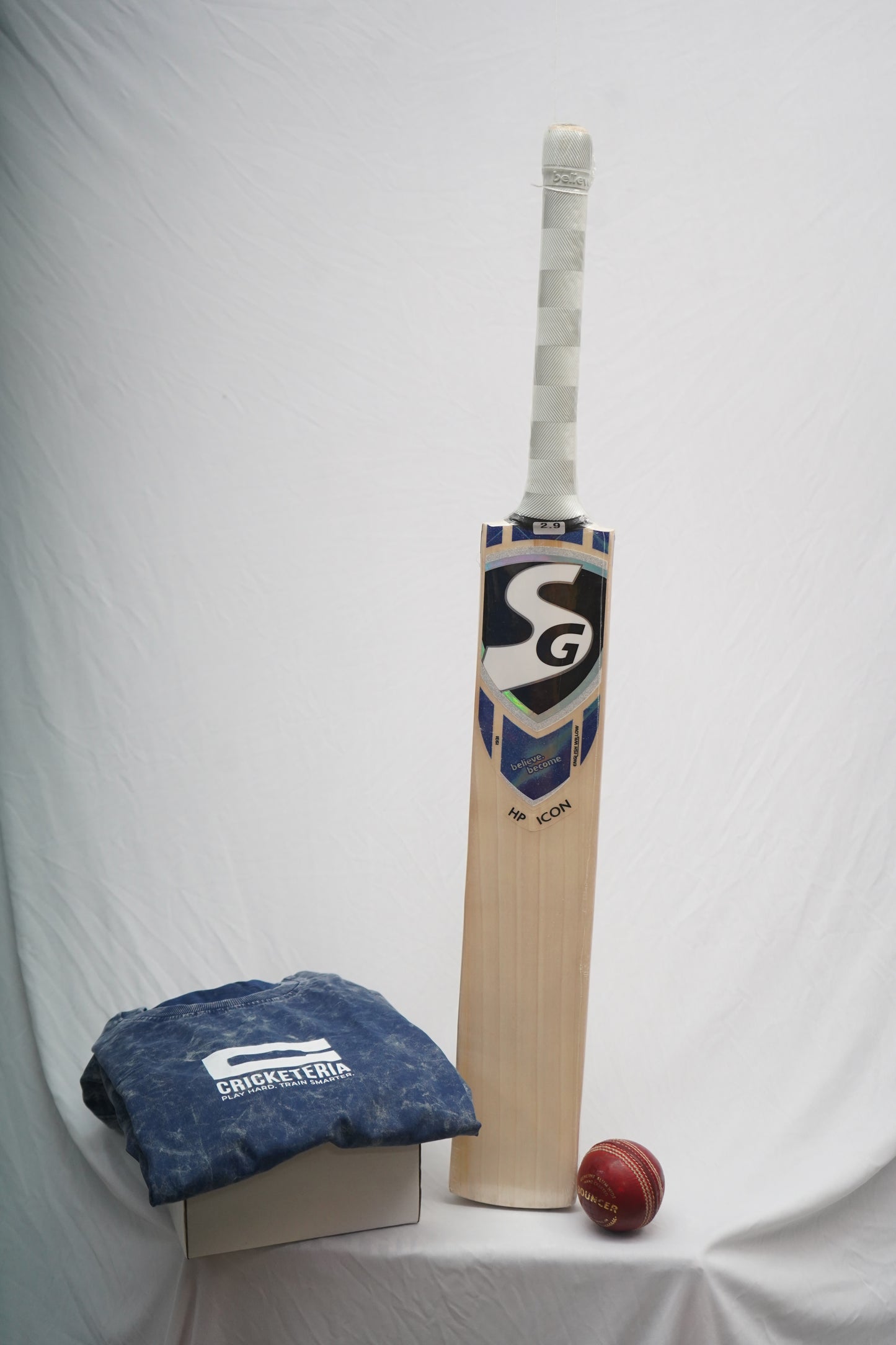 SG English Willow Cricket Bat HP Icon