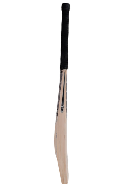 SS Premium Silver 3.0 Kashmir Willow Cricket Bat