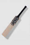 SS Premium Silver 3.0 Kashmir Willow Cricket Bat