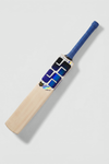 SS Sky Striker Kashmir Willow Cricket Bat